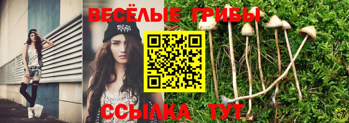 Галлюциногенные грибы прущие грибы Барабинск